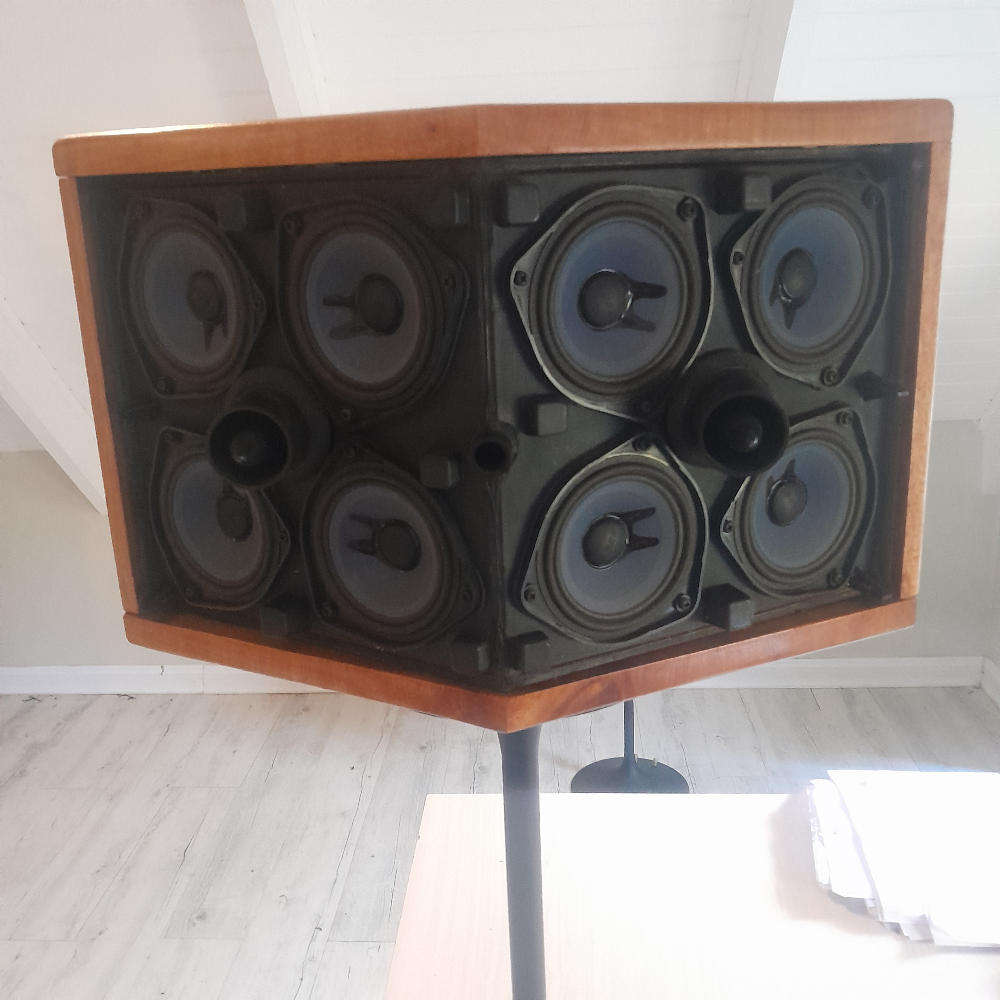 Bose 901 speakers