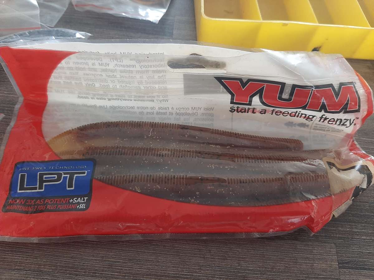 Assorted fishing lures