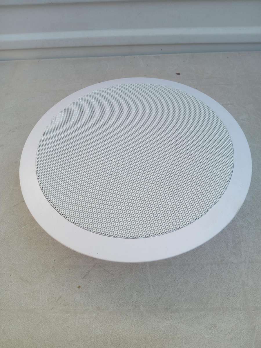 Viper ceiling speaker