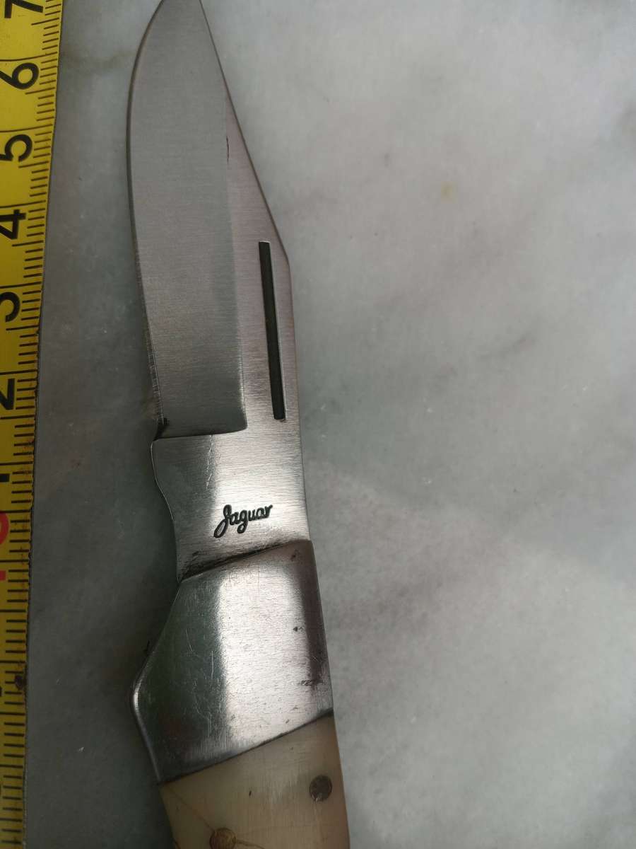 Jaguar folding knife