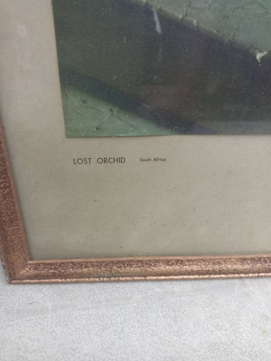 Vintage Vladimir tretchikoff prints