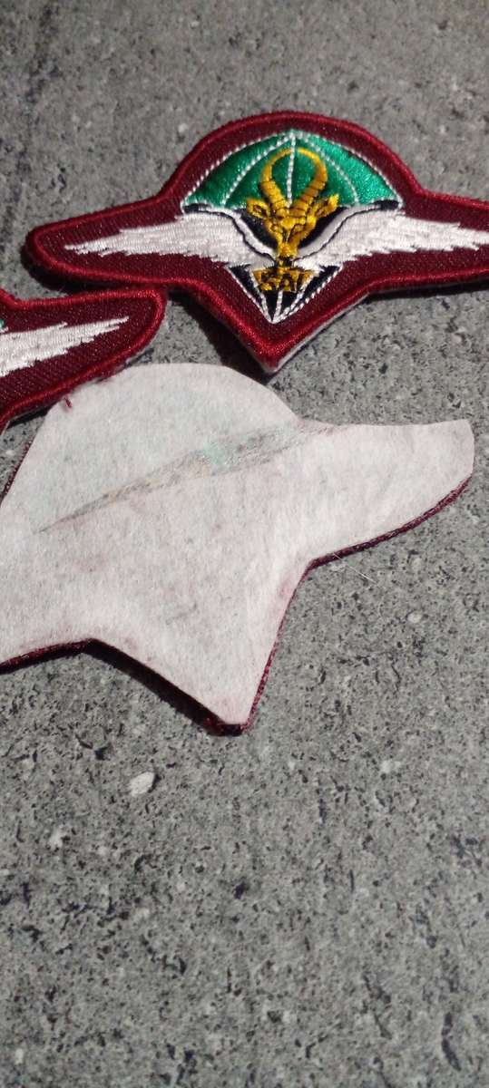 SADF PARACHUTE BATTALION  BERET BADGES.