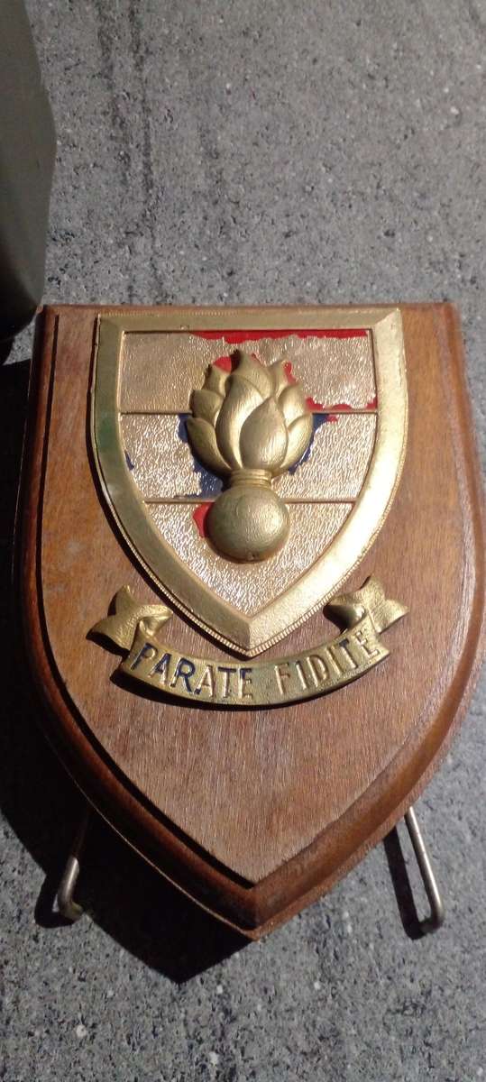 2x OLD SADF ISSUES. A 2 L WATER BOTTLE AND A SADF ENGINEERING CORPS (BIGGER SIZE) BADGE .