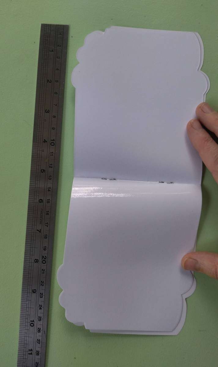 Animal Stickers & Elephant Sticker Album