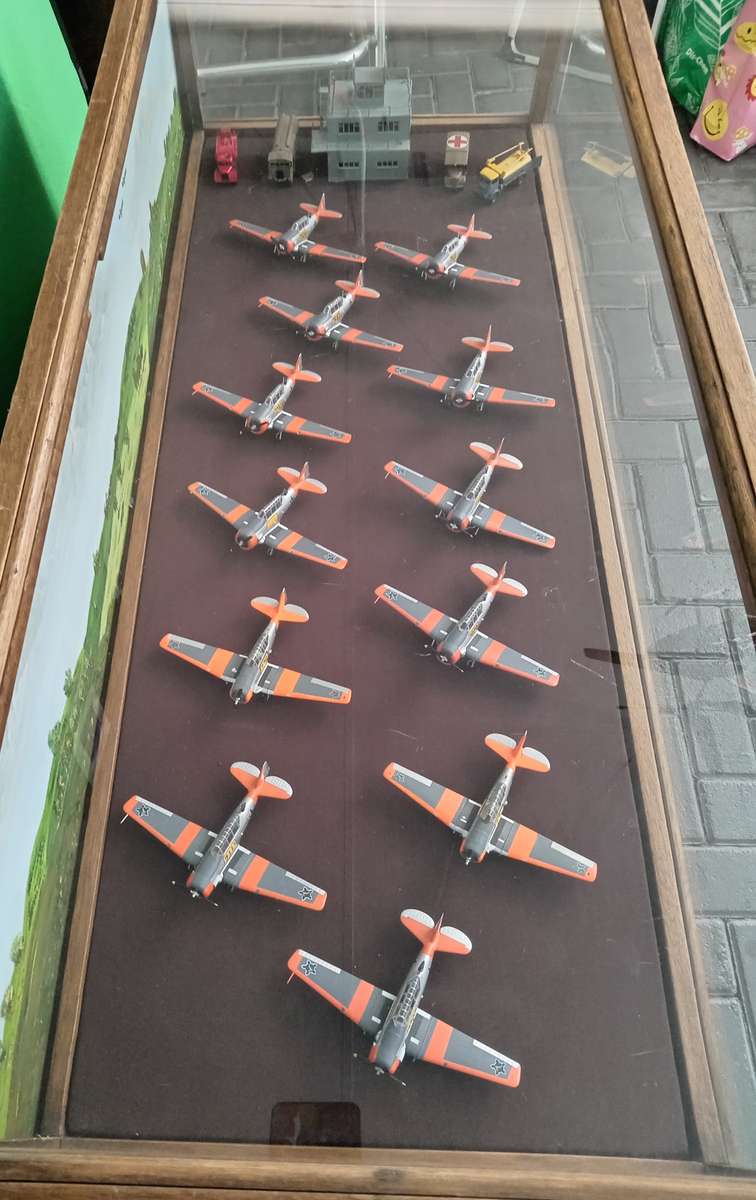 Harvard Display Case w/ 12 Planes