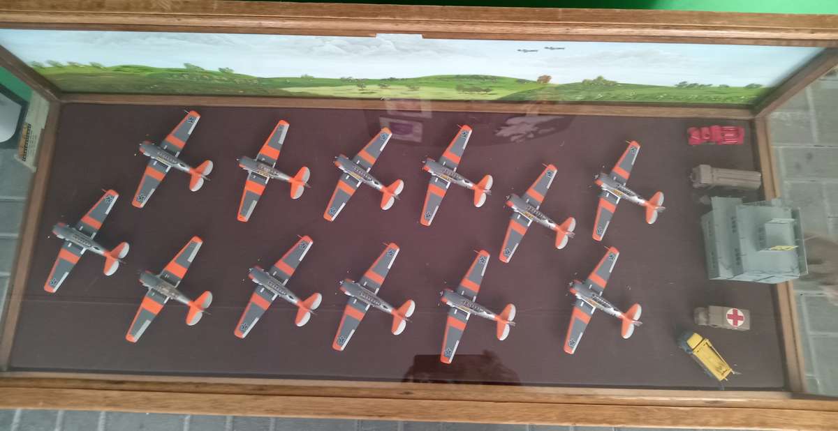 Harvard Display Case w/ 12 Planes