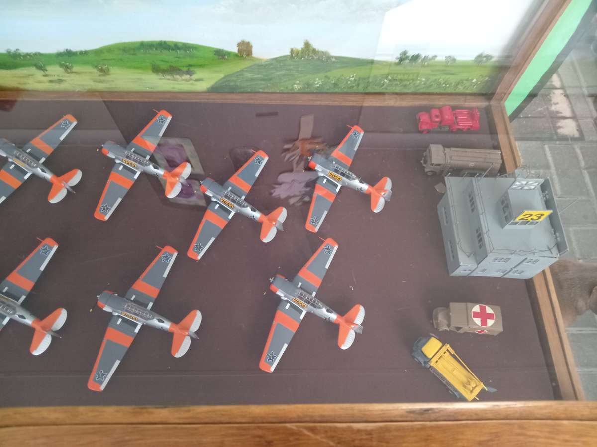 Harvard Display Case w/ 12 Planes