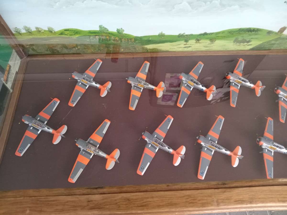 Harvard Display Case w/ 12 Planes