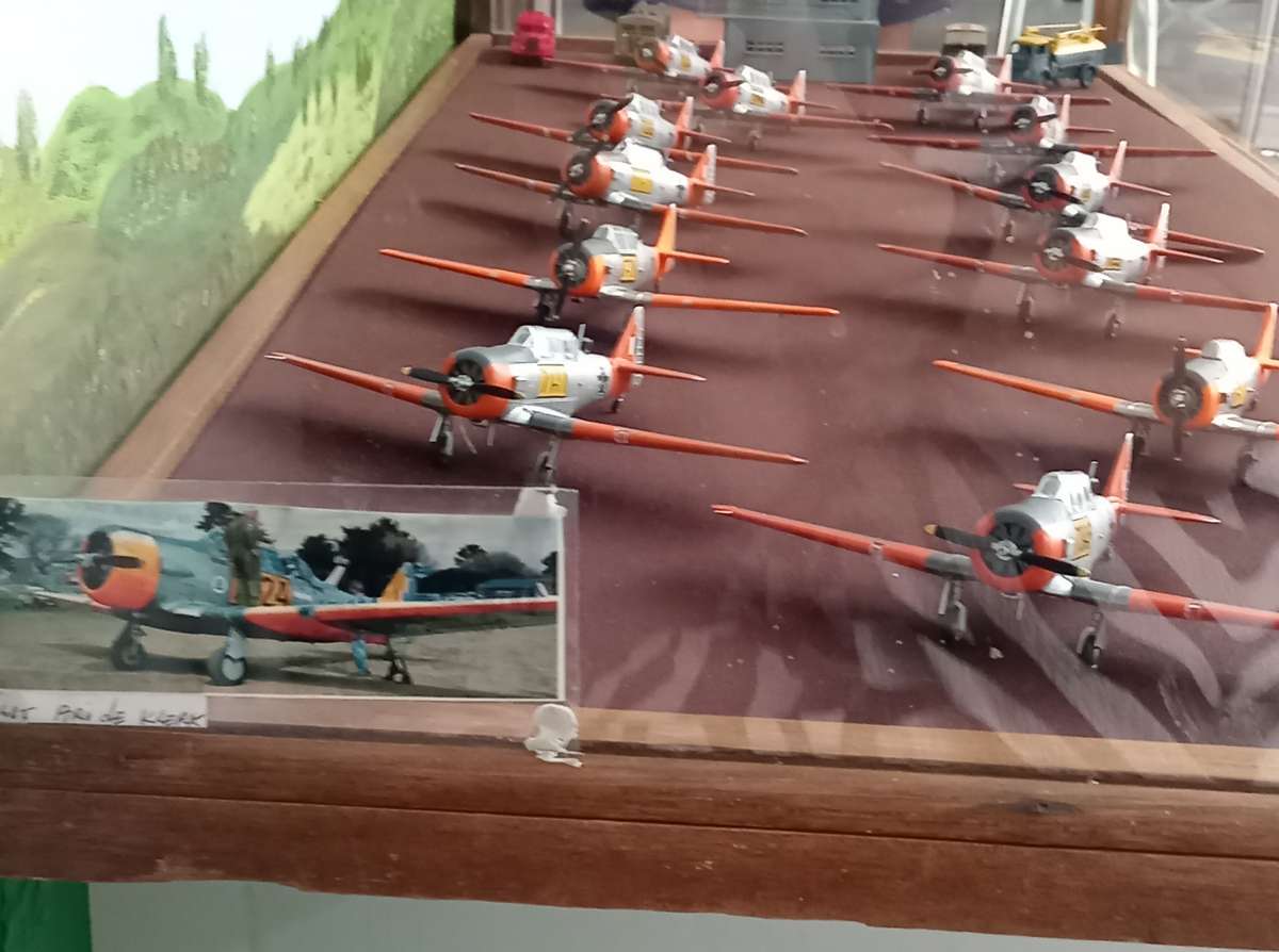 Harvard Display Case w/ 12 Planes