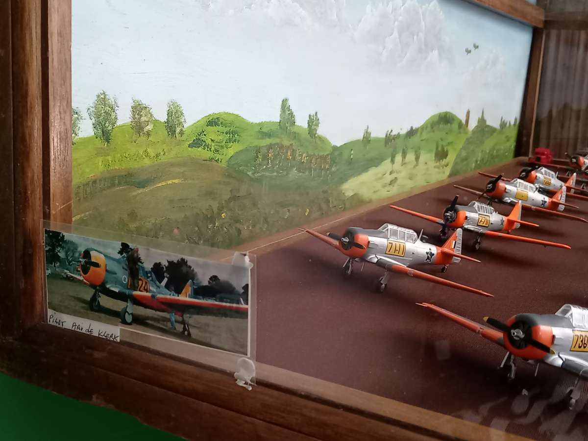 Harvard Display Case w/ 12 Planes