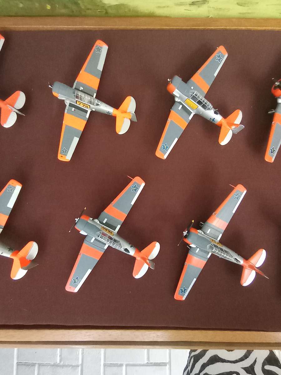 Harvard Display Case w/ 12 Planes