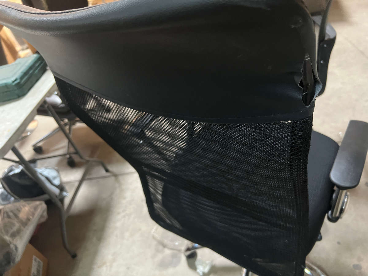 Rex M - Ergonomic High-Back Office Chair - Black