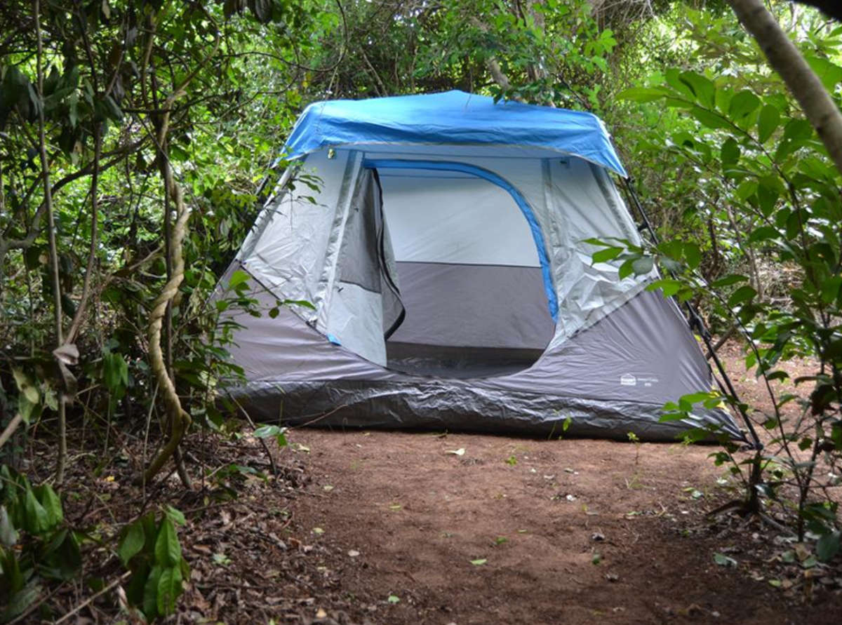 Camp Master - 6-Sleeper Weather-Resistant Instant Frame Cabin Camping Tent - NEW