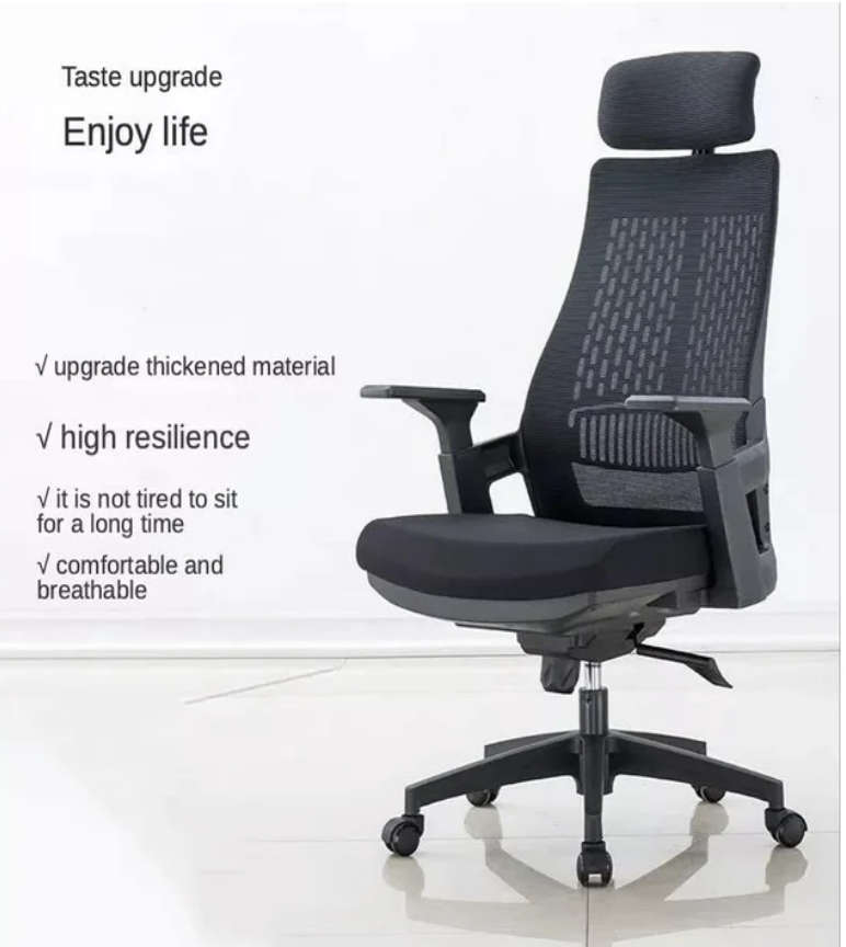 Eay Eay Thing Ergonomic Home Office Chair BRAND NEW