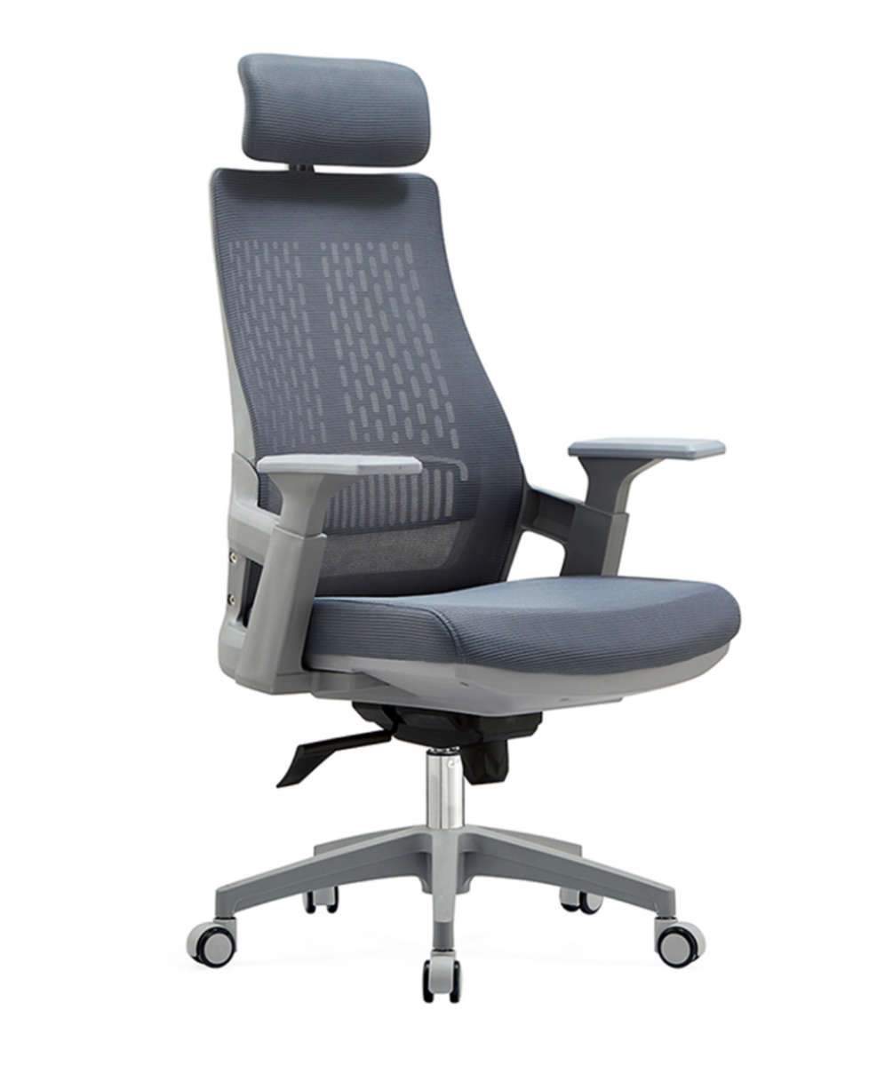 Luxury Ergonomic Home Office Chair - Grey