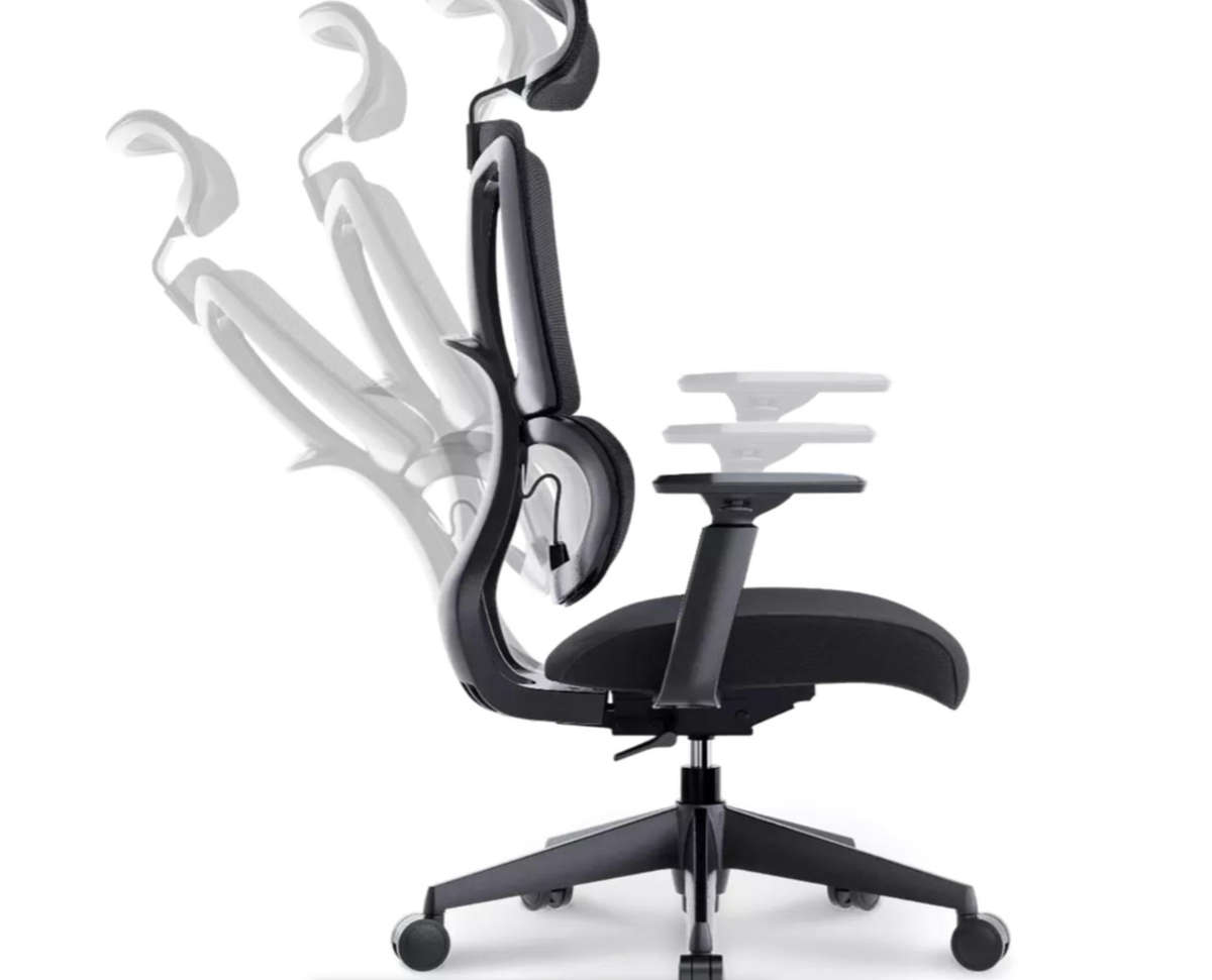 F16 Falcon Elite: Luxury Ergonomic Office Chair - Black DISPLAY UNIT READ DESCRIPTION