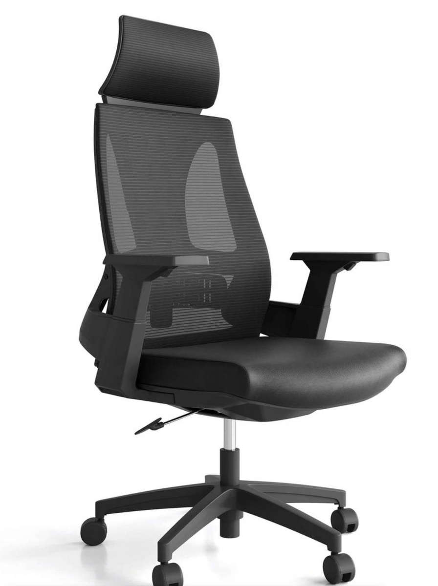 EayThing Lambo Elite Ergonomic Executive Mesh Chair