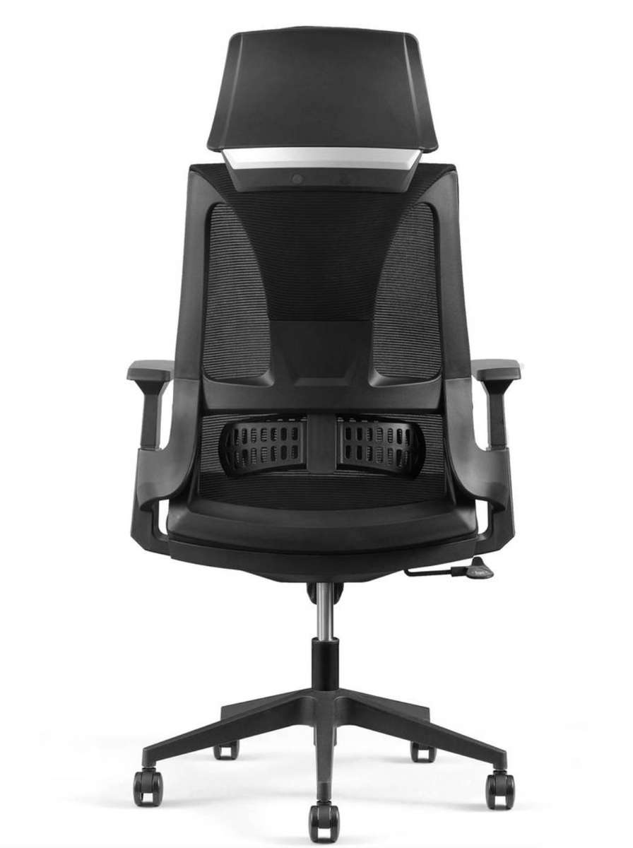 EayThing Lambo Elite Ergonomic Executive Mesh Chair