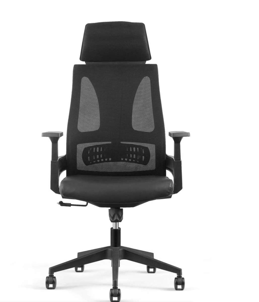 EayThing Lambo Elite Ergonomic Executive Mesh Chair