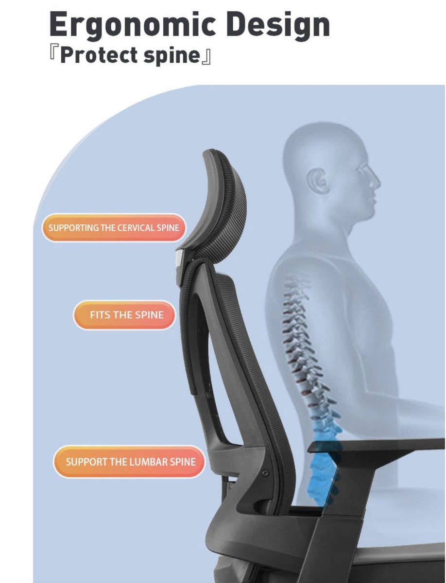 EayThing Lambo Elite Ergonomic Executive Mesh Chair