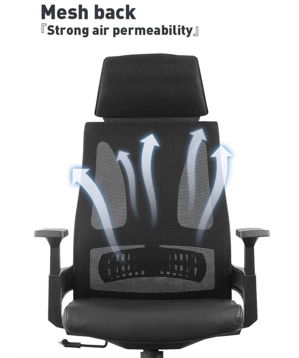 EayThing Lambo Elite Ergonomic Executive Mesh Chair