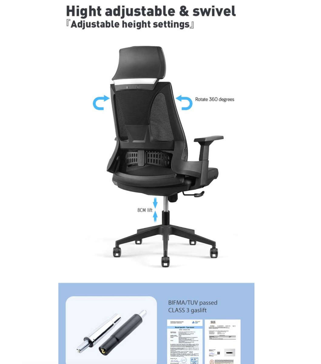 EayThing Lambo Elite Ergonomic Executive Mesh Chair