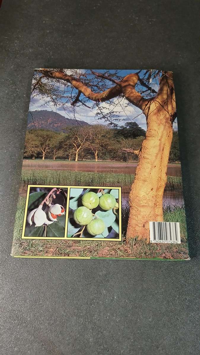 Everyone's guide to Trees of South Africa by Keith, Paul & Meg Coates Palgrave