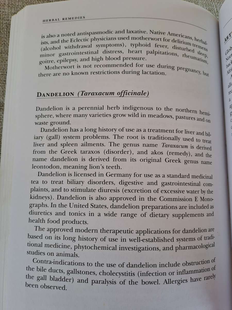 Herbal Remedies: Choose wellness - Dr. Arien van der Merwe