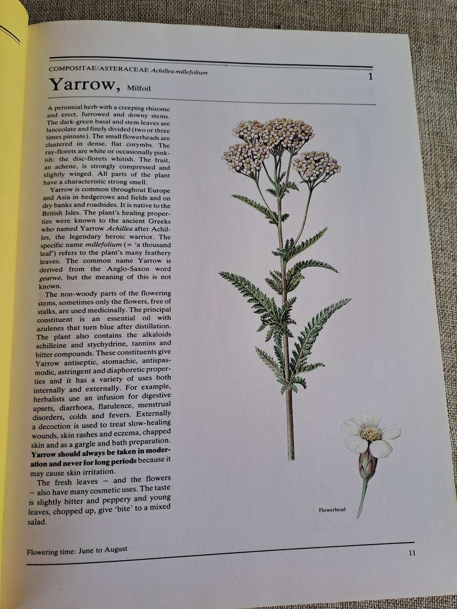 The Illustrated Book of Herbs - Jan Volak & Jiri Stodola. Illustrated by Frantisek Severa
