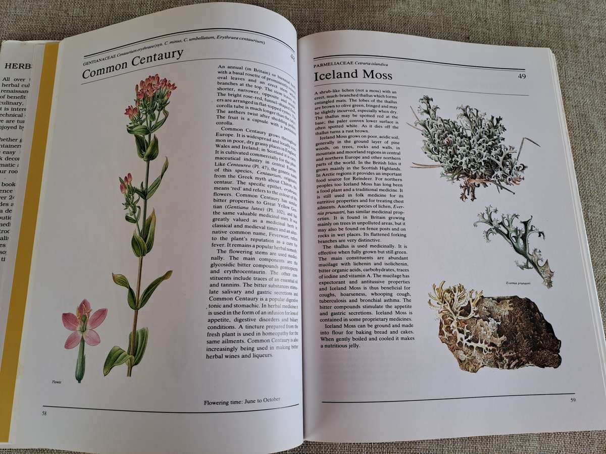 The Illustrated Book of Herbs - Jan Volak & Jiri Stodola. Illustrated by Frantisek Severa