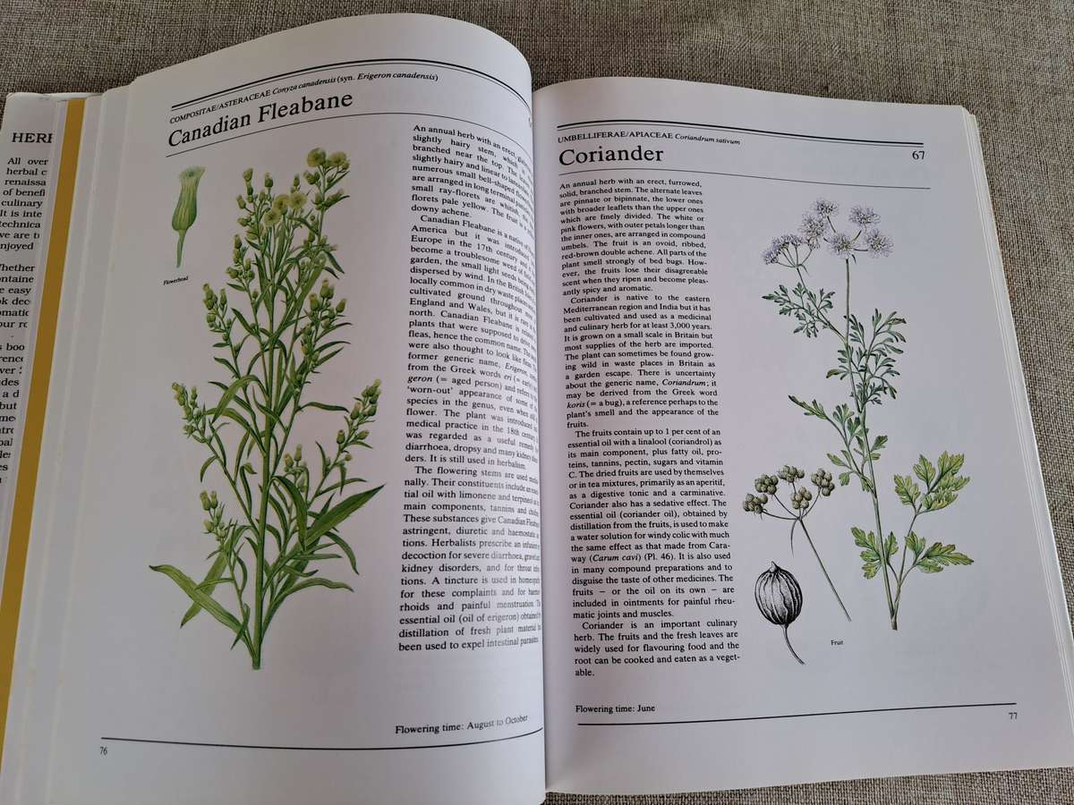 The Illustrated Book of Herbs - Jan Volak & Jiri Stodola. Illustrated by Frantisek Severa