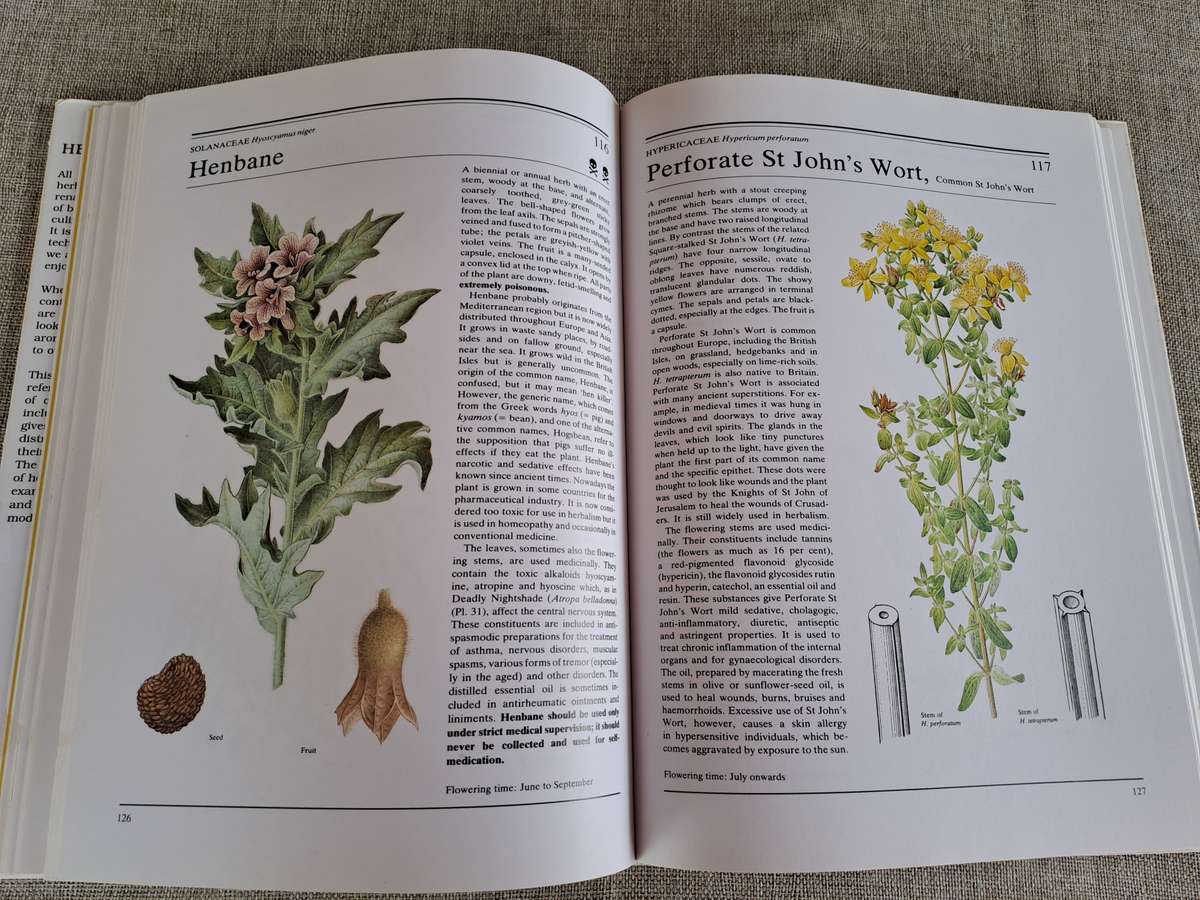 The Illustrated Book of Herbs - Jan Volak & Jiri Stodola. Illustrated by Frantisek Severa