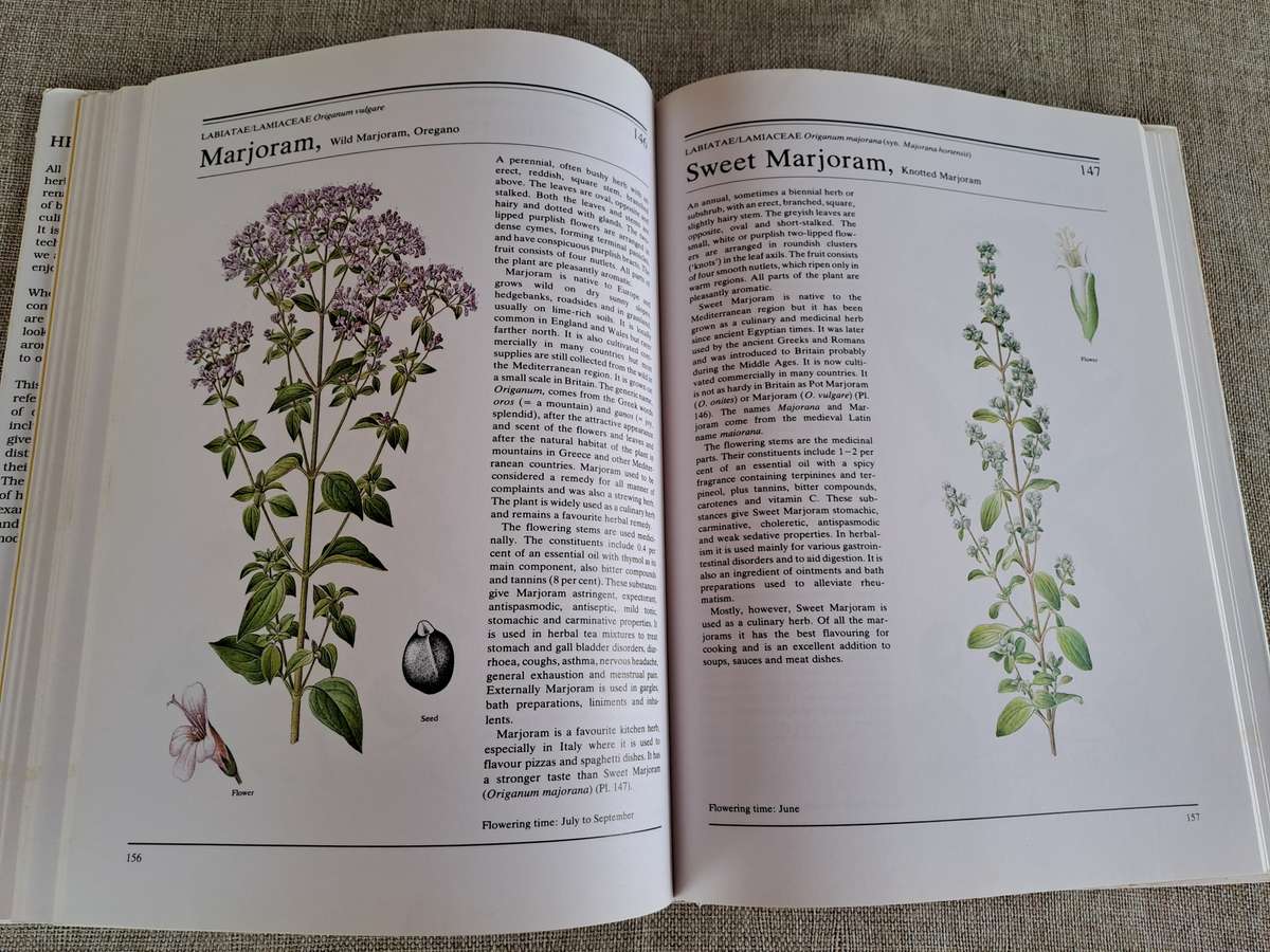 The Illustrated Book of Herbs - Jan Volak & Jiri Stodola. Illustrated by Frantisek Severa