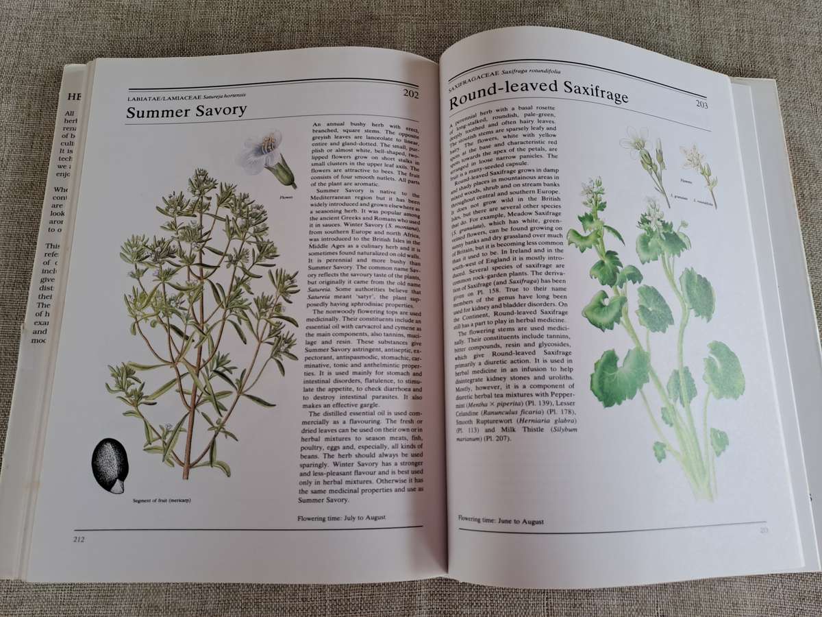 The Illustrated Book of Herbs - Jan Volak & Jiri Stodola. Illustrated by Frantisek Severa
