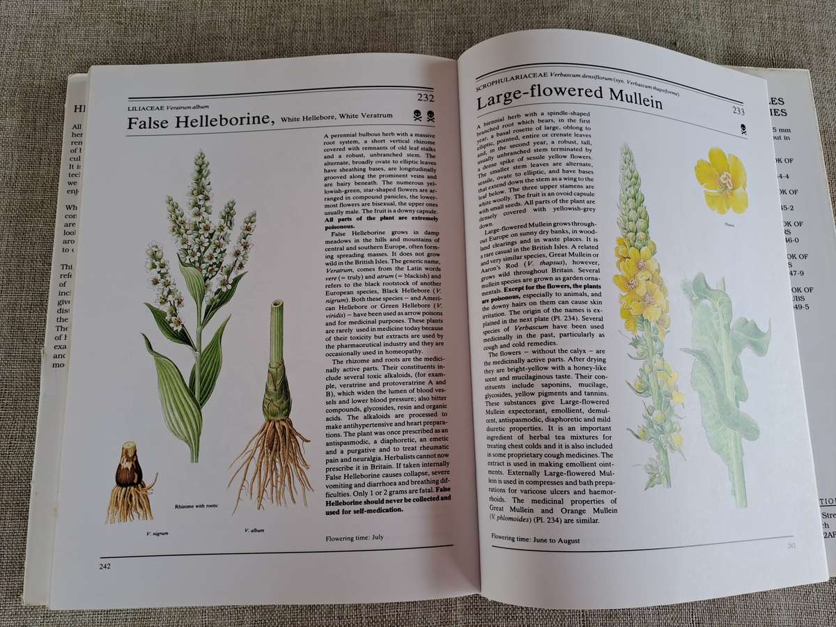 The Illustrated Book of Herbs - Jan Volak & Jiri Stodola. Illustrated by Frantisek Severa
