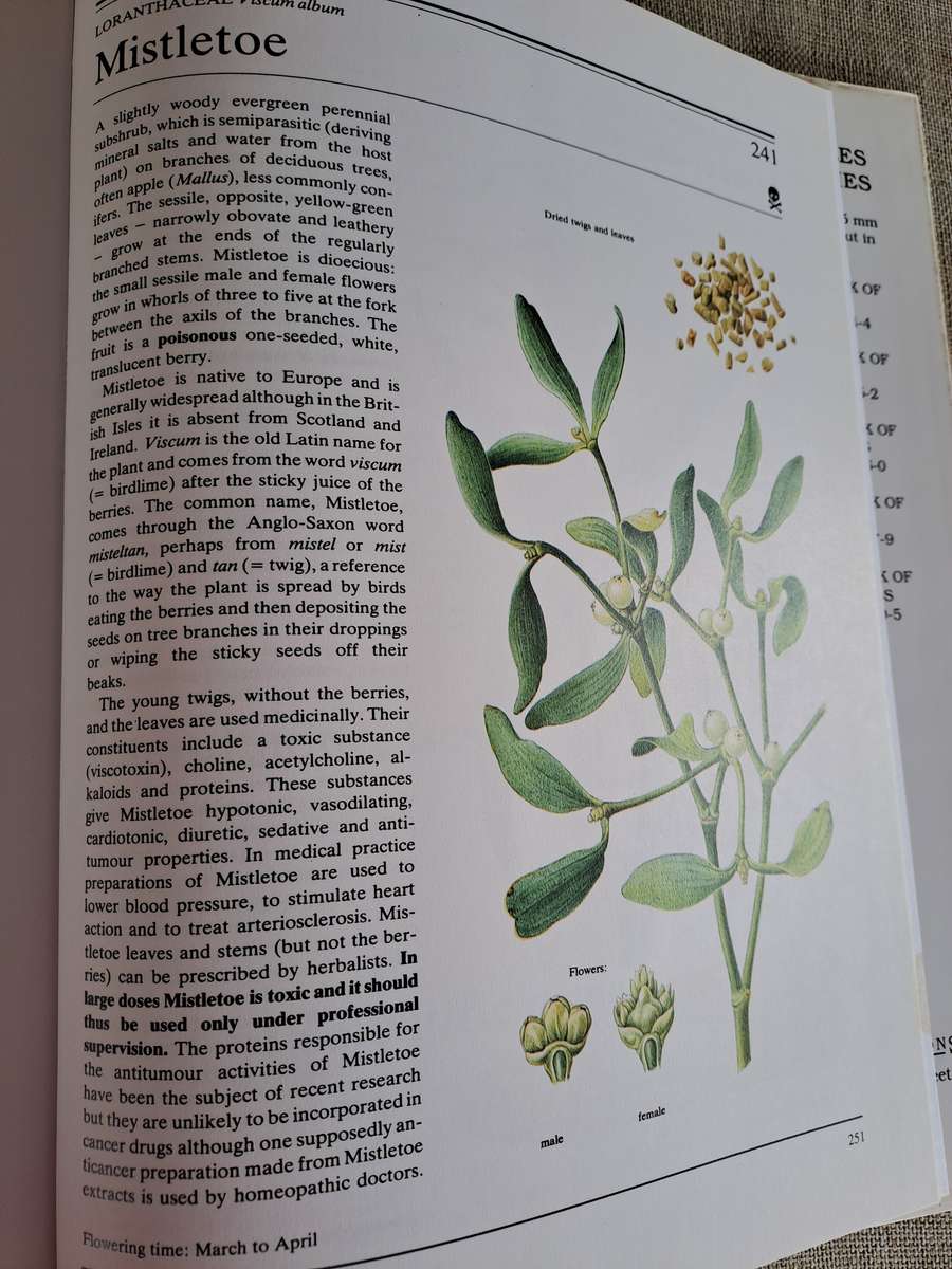 The Illustrated Book of Herbs - Jan Volak & Jiri Stodola. Illustrated by Frantisek Severa