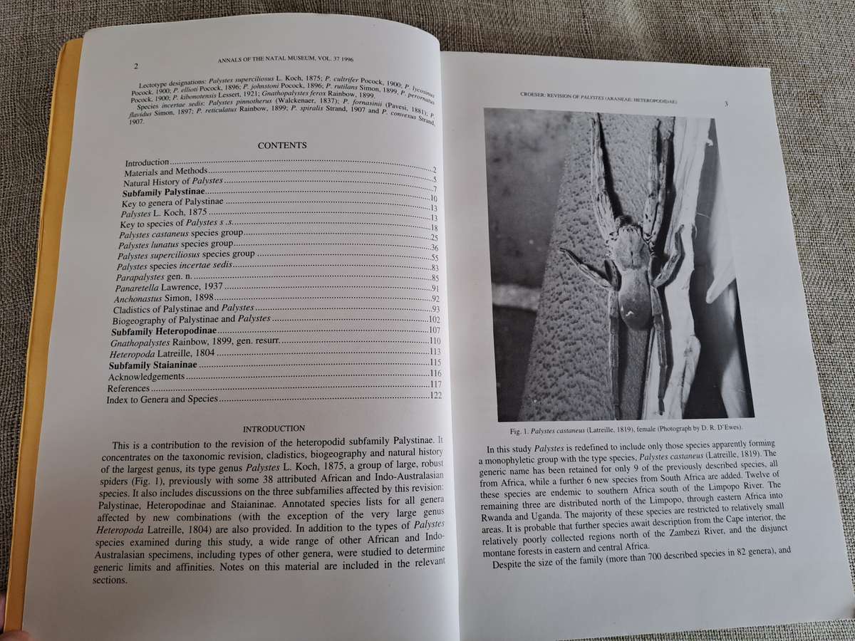 A revision of the African huntsman spider genus Palystes L. Koch, 1875 (Araneae: Heteropodidae)