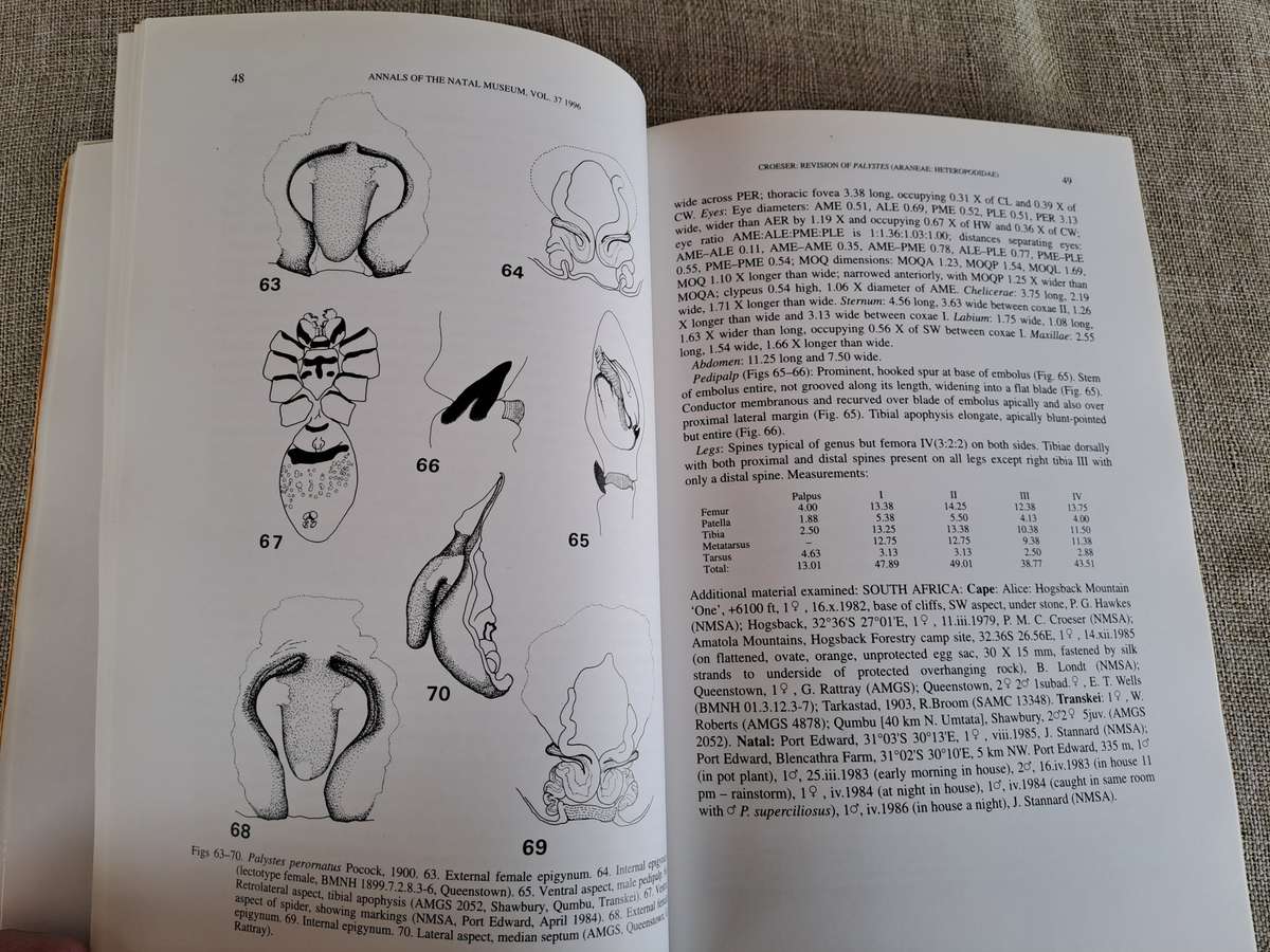 A revision of the African huntsman spider genus Palystes L. Koch, 1875 (Araneae: Heteropodidae)
