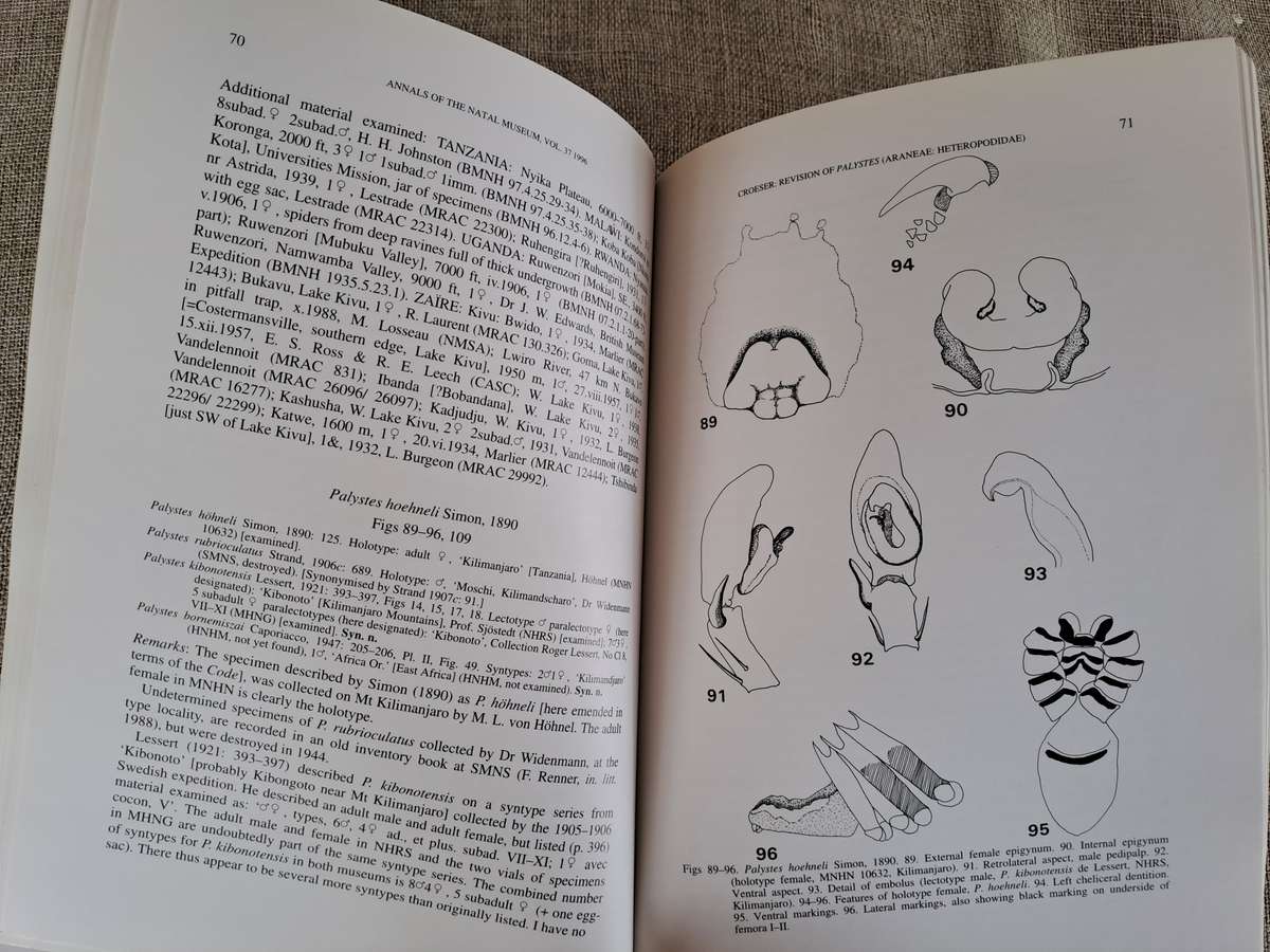 A revision of the African huntsman spider genus Palystes L. Koch, 1875 (Araneae: Heteropodidae)