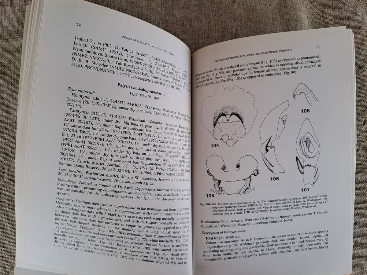 A revision of the African huntsman spider genus Palystes L. Koch, 1875 (Araneae: Heteropodidae)