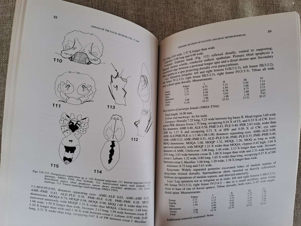 A revision of the African huntsman spider genus Palystes L. Koch, 1875 (Araneae: Heteropodidae)