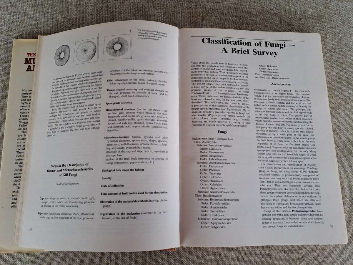 The Hamlyn Book of Mushrooms and Fungi