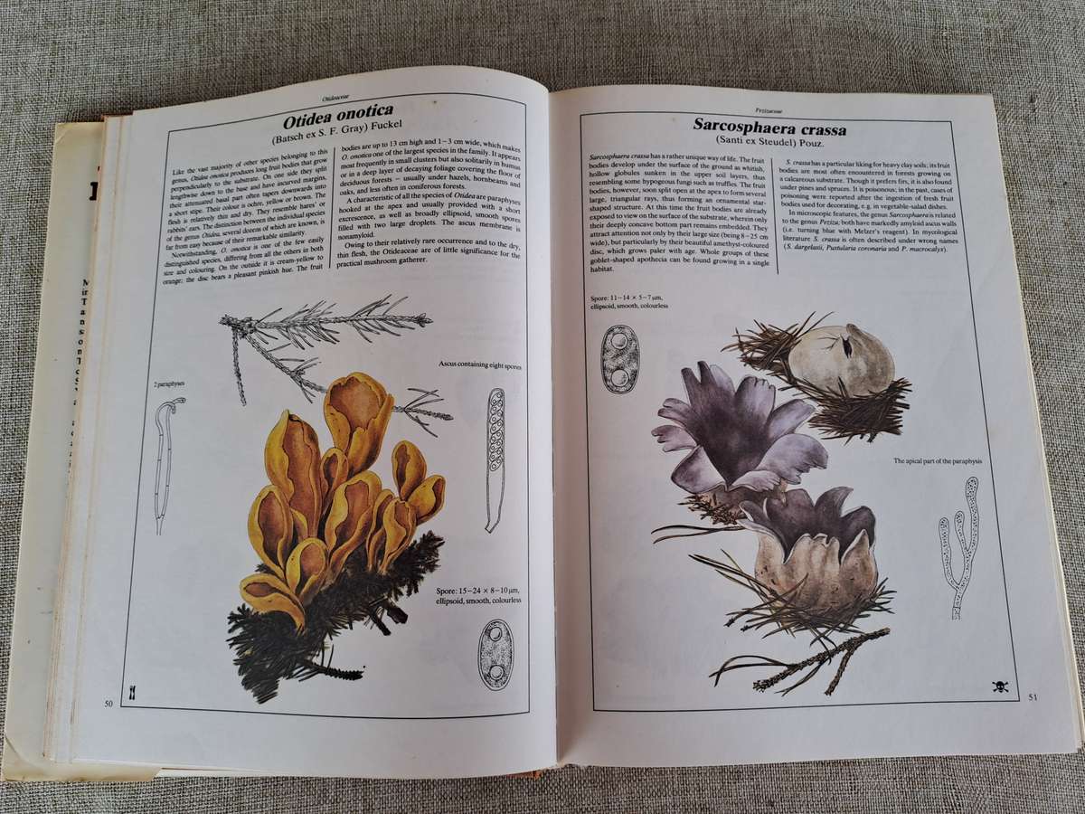 The Hamlyn Book of Mushrooms and Fungi