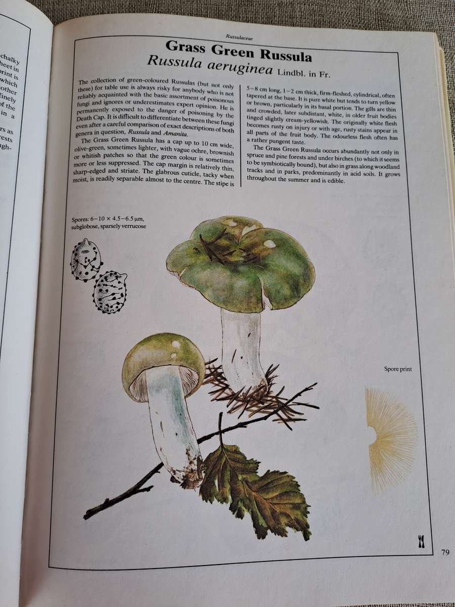 The Hamlyn Book of Mushrooms and Fungi