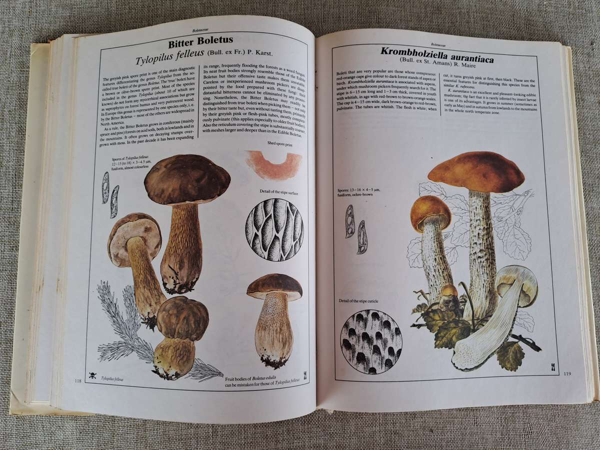 The Hamlyn Book of Mushrooms and Fungi