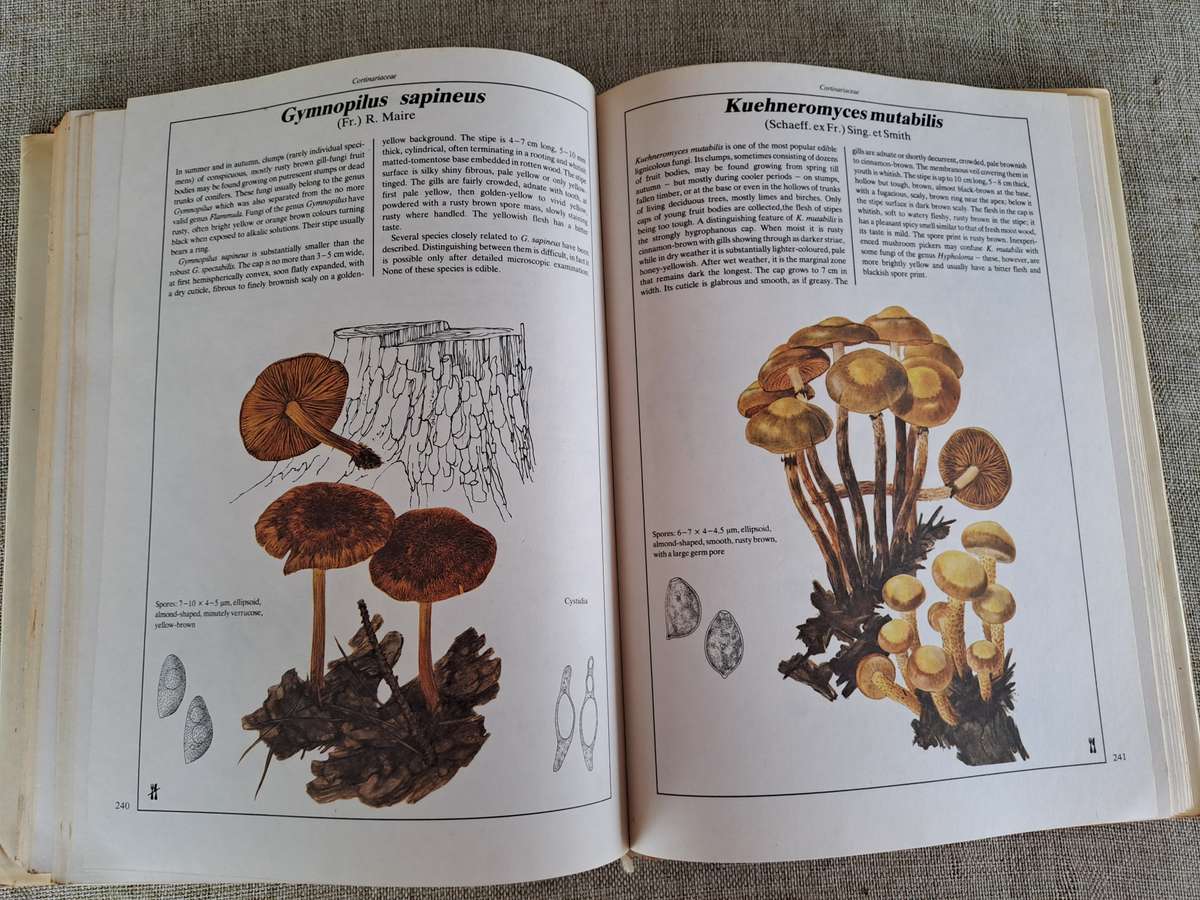 The Hamlyn Book of Mushrooms and Fungi