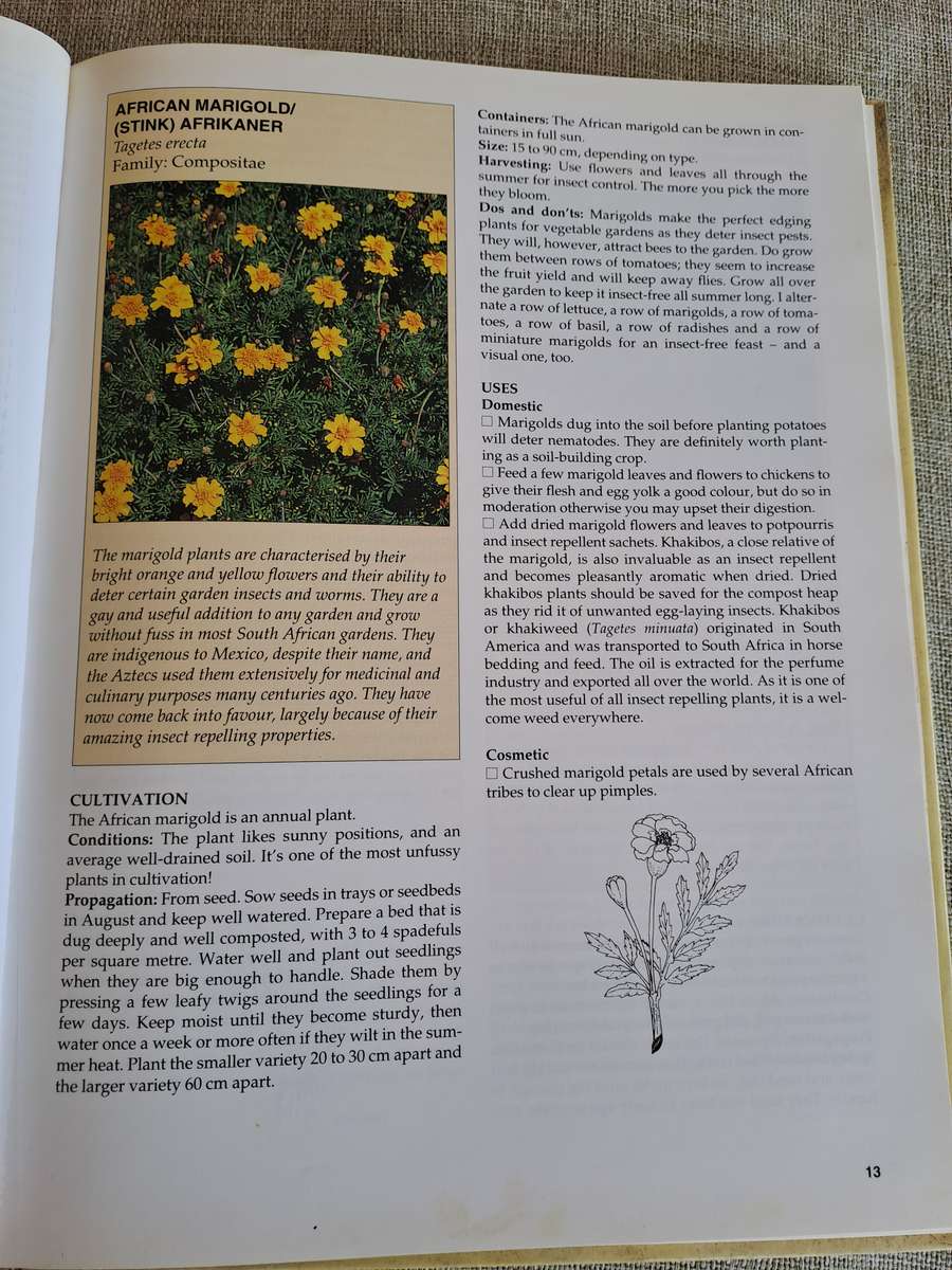 A-Z of Herbs - Margaret Roberts