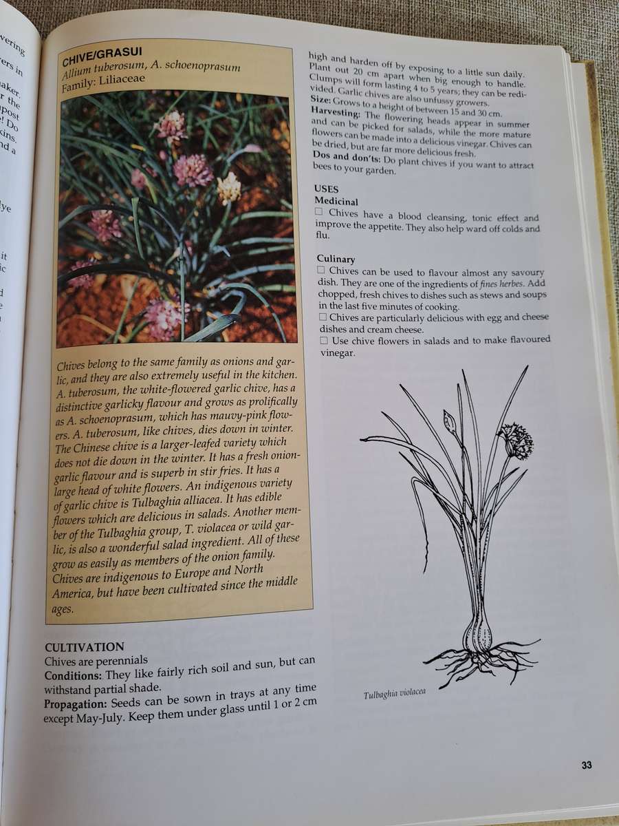 A-Z of Herbs - Margaret Roberts
