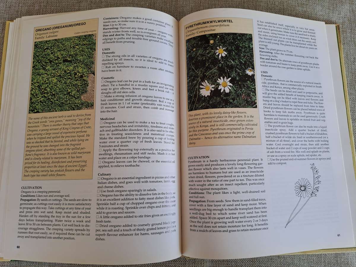 A-Z of Herbs - Margaret Roberts