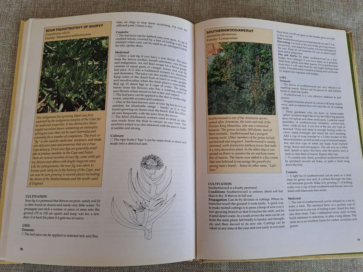 A-Z of Herbs - Margaret Roberts